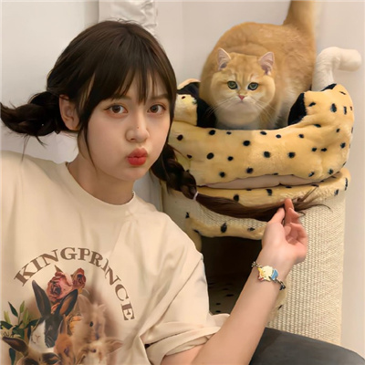 伴游女生茅紫杉的资料