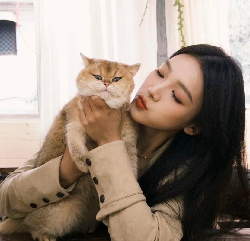 伴游女生苏涧的资料